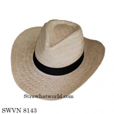 Men's Hat SWVN 8143